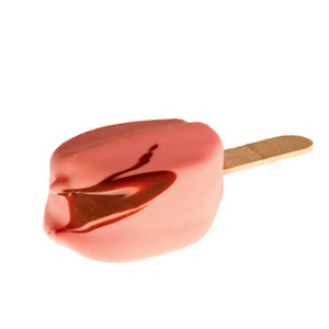 Μίνι ξυλάκι φράουλας